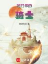 尊敬的扫帚骑士大人